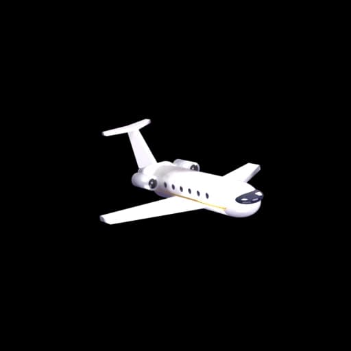 Private Jet gift